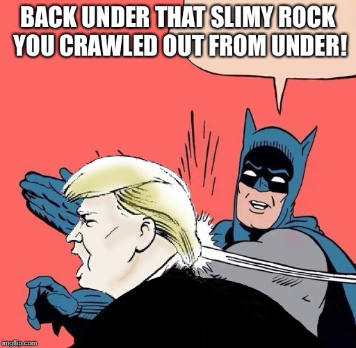 Batman slaps Trump | BACK UNDER THAT SLIMY ROCK YOU CRAWLED OUT FROM UNDER! | image tagged in batman slaps trump | made w/ Imgflip meme maker