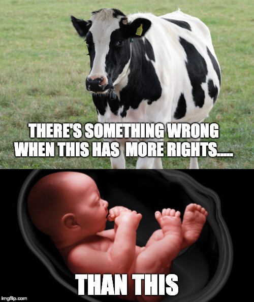 Pro Life Meme



 | THERE'S SOMETHING WRONG WHEN THIS HAS 
MORE RIGHTS..... THAN THIS | image tagged in pro life,anti abortion | made w/ Imgflip meme maker