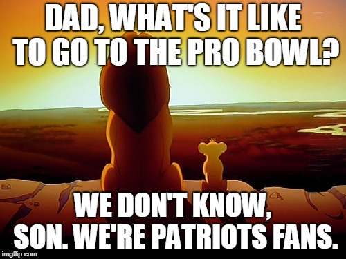 Lion King Meme | DAD, WHAT'S IT LIKE TO GO TO THE PRO BOWL? WE DON'T KNOW, SON.
WE'RE PATRIOTS FANS. | image tagged in memes,lion king,pro bowl | made w/ Imgflip meme maker