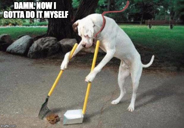 Dog poop | DAMN. NOW I GOTTA DO IT MYSELF | image tagged in dog poop | made w/ Imgflip meme maker