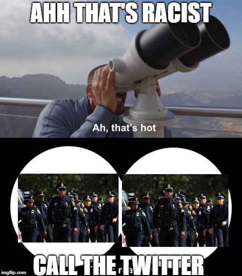 That’s Hot | AHH THAT'S RACIST; CALL THE TWITTER | image tagged in thats hot | made w/ Imgflip meme maker