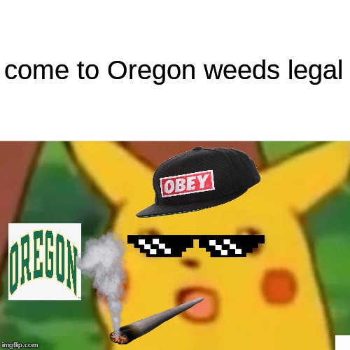 come to Oregon weeds legal | image tagged in memes,surprised pikachu | made w/ Imgflip meme maker