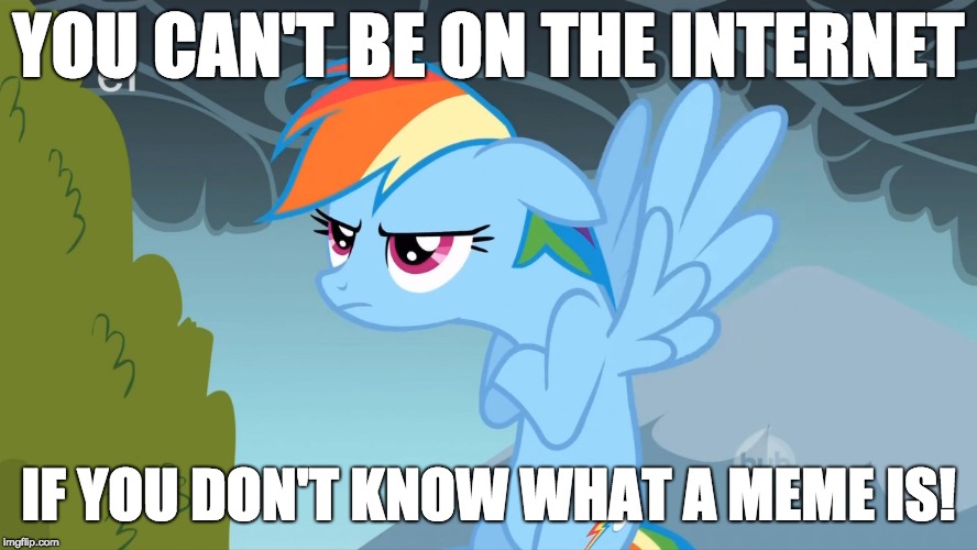 Grumpy Pony | YOU CAN'T BE ON THE INTERNET IF YOU DON'T KNOW WHAT A MEME IS! | image tagged in grumpy pony | made w/ Imgflip meme maker