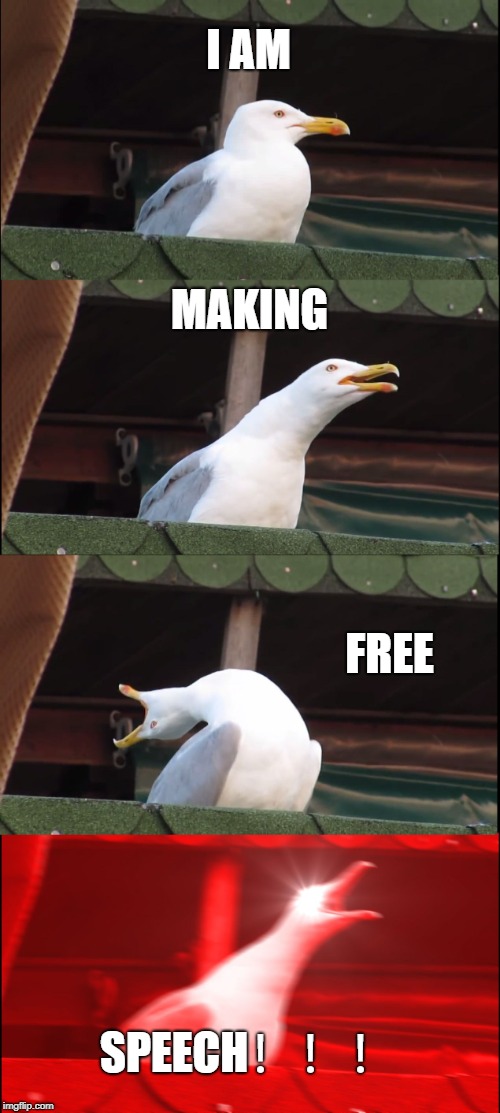Inhaling Seagull | I AM; MAKING; FREE; SPEECH！！！ | image tagged in memes,inhaling seagull | made w/ Imgflip meme maker