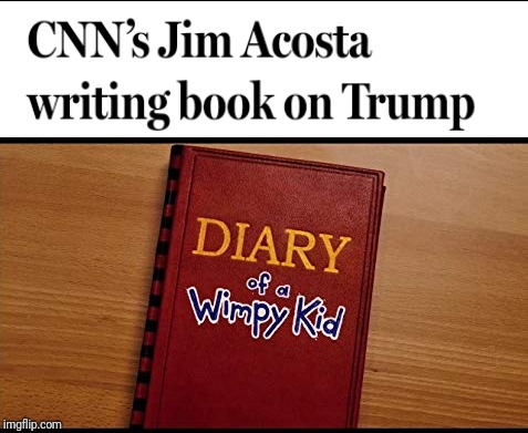 Jim Acosta writing a book on trump | image tagged in politics,donald trump,jim acosta,cnn,fake news,funny | made w/ Imgflip meme maker