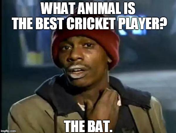 Cricket player | image tagged in sport | made w/ Imgflip meme maker