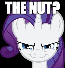 Rarity's evil plans | THE NUT? | image tagged in rarity's evil plans | made w/ Imgflip meme maker