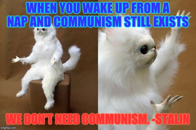 Persian Cat Room Guardian Meme | WHEN YOU WAKE UP FROM A NAP AND COMMUNISM STILL EXISTS; WE DON'T NEED COMMUNISM. -STALIN | image tagged in memes,persian cat room guardian | made w/ Imgflip meme maker