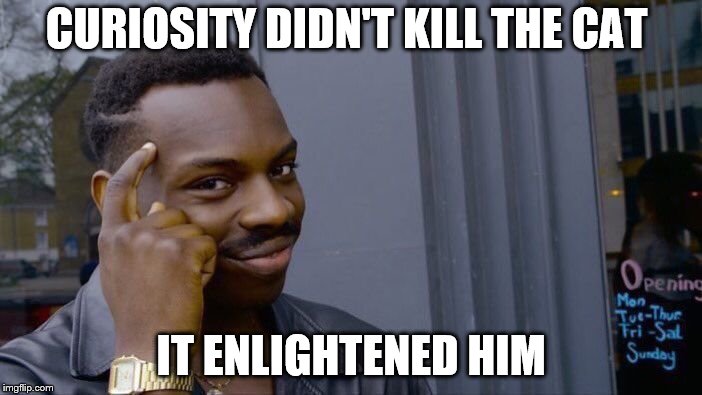 Roll Safe Think About It | CURIOSITY DIDN'T KILL THE CAT; IT ENLIGHTENED HIM | image tagged in memes,roll safe think about it | made w/ Imgflip meme maker