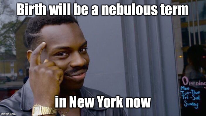 Roll Safe Think About It Meme | Birth will be a nebulous term in New York now | image tagged in memes,roll safe think about it | made w/ Imgflip meme maker