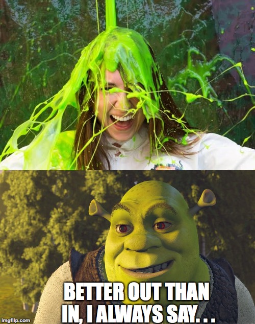 Check yourself before you SHREK yourself! | BETTER OUT THAN IN, I ALWAYS SAY. . . | image tagged in shrek,memes,funny,slime,smiling | made w/ Imgflip meme maker