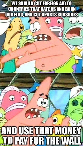 Put It Somewhere Else Patrick Meme | WE SHOULD CUT FOREIGN AID TO COUNTRIES THAT HATE US AND BURN OUR FLAG, AND CUT SPORTS SUBSIDIES; AND USE THAT MONEY TO PAY FOR THE WALL | image tagged in memes,put it somewhere else patrick | made w/ Imgflip meme maker