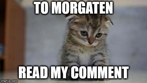 Sad kitten | TO MORGATEN; READ MY COMMENT | image tagged in sad kitten | made w/ Imgflip meme maker