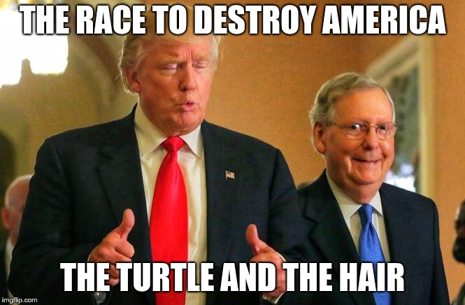 The Turtle and the Hair | THE RACE TO DESTROY AMERICA; THE TURTLE AND THE HAIR | image tagged in trump,mitch mcconnell,fascists,nazis,gop | made w/ Imgflip meme maker