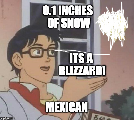 Is This A Pigeon | 0.1 INCHES OF SNOW; ITS A BLIZZARD! MEXICAN | image tagged in memes,is this a pigeon | made w/ Imgflip meme maker