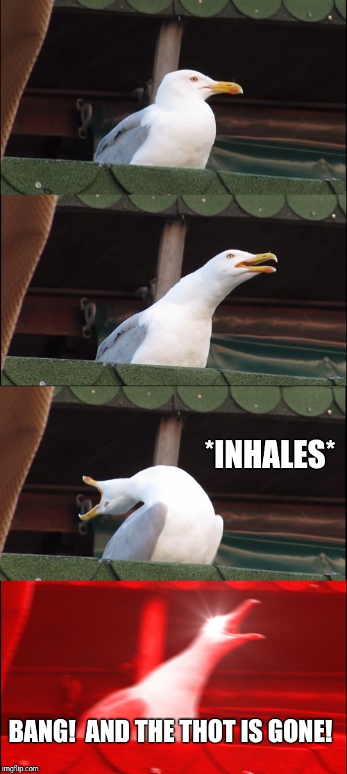 Inhaling Seagull Meme | *INHALES* BANG!  AND THE THOT IS GONE! | image tagged in memes,inhaling seagull | made w/ Imgflip meme maker