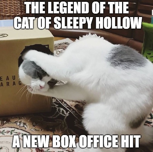 Gimme head | THE LEGEND OF THE CAT OF SLEEPY HOLLOW; A NEW BOX OFFICE HIT | image tagged in cats,funny memes,box,headless horseman | made w/ Imgflip meme maker