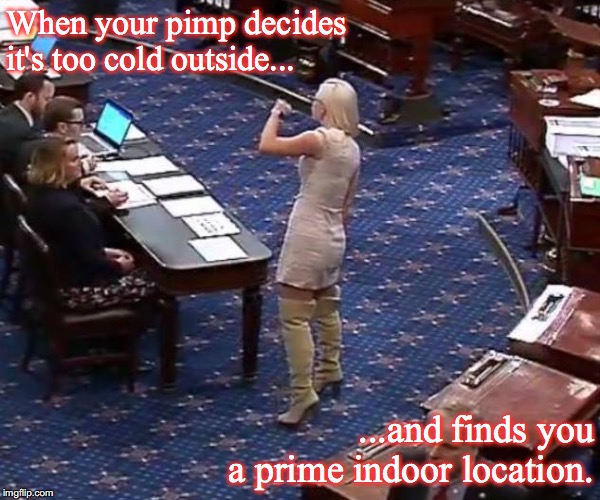 Silly Senate meme | When your pimp decides it's too cold outside... ...and finds you a prime indoor location. | image tagged in politics | made w/ Imgflip meme maker