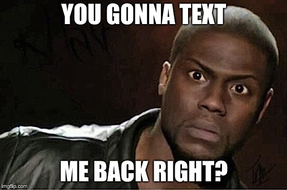 Kevin Hart Meme | YOU GONNA TEXT; ME BACK RIGHT? | image tagged in memes,kevin hart | made w/ Imgflip meme maker