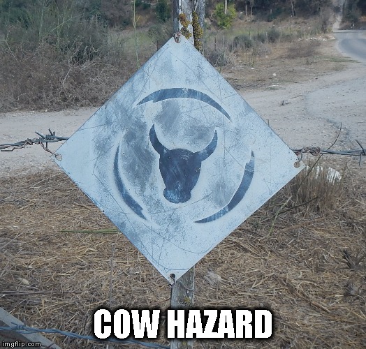 Cowhazard | COW HAZARD | image tagged in cow,hazard,warning sign | made w/ Imgflip meme maker