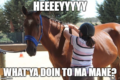 HEEEEYYYYY; WHAT'YA DOIN TO MA MANE? | made w/ Imgflip meme maker