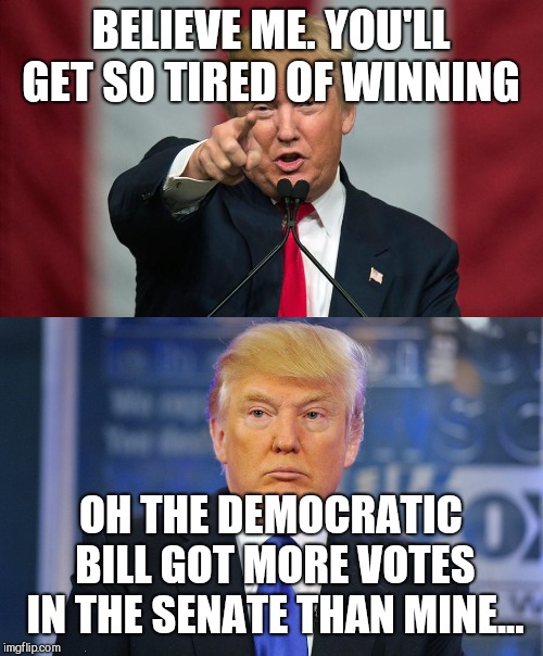 That makes you a L-O-S-E-R  | BELIEVE ME. YOU'LL GET SO TIRED OF WINNING; OH THE DEMOCRATIC BILL GOT MORE VOTES IN THE SENATE THAN MINE... | image tagged in memes,donald trump,idiot,government shutdown,senate,gop hypocrite | made w/ Imgflip meme maker