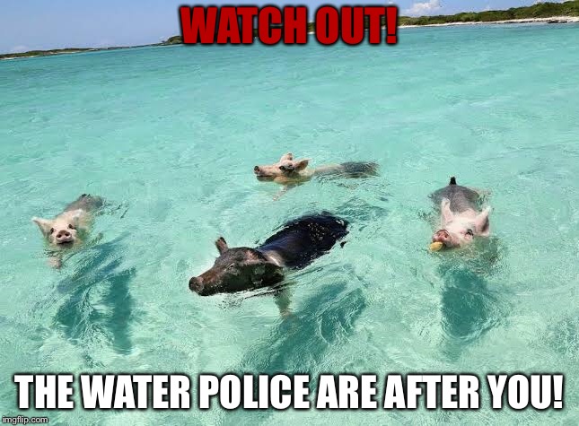 Water police | WATCH OUT! THE WATER POLICE ARE AFTER YOU! | image tagged in funny | made w/ Imgflip meme maker