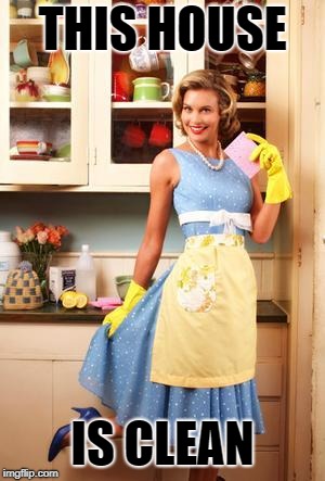 Happy House Wife | THIS HOUSE; IS CLEAN | image tagged in happy house wife | made w/ Imgflip meme maker