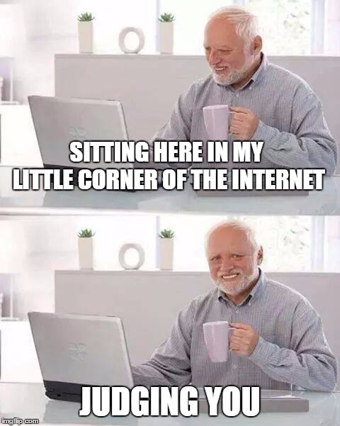 Hide the Pain Harold Meme | SITTING HERE IN MY LITTLE CORNER OF THE INTERNET; JUDGING YOU | image tagged in memes,hide the pain harold | made w/ Imgflip meme maker