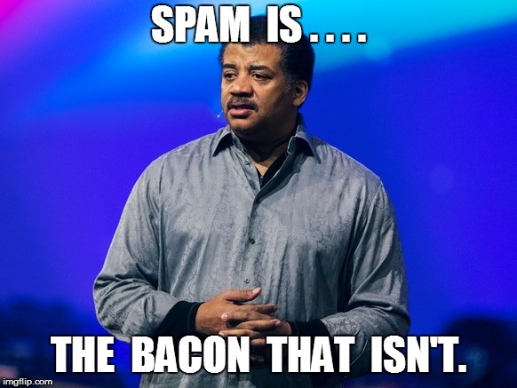 SPAM  IS . . . . THE  BACON  THAT  ISN'T. | made w/ Imgflip meme maker