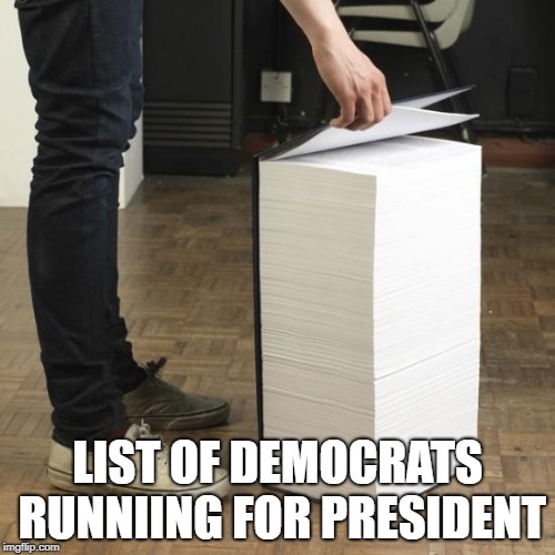 large book | LIST OF DEMOCRATS RUNNIING FOR PRESIDENT | image tagged in large book | made w/ Imgflip meme maker