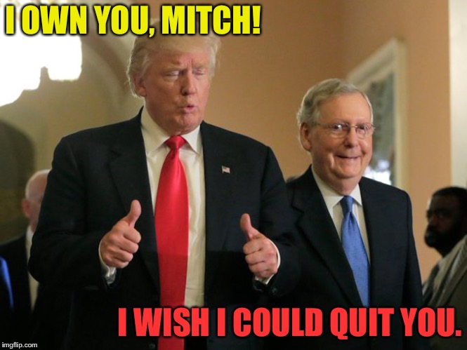 trump mcconnell | I OWN YOU, MITCH! I WISH I COULD QUIT YOU. | image tagged in trump mcconnell | made w/ Imgflip meme maker