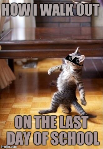 Cool Cat Stroll | HOW I WALK OUT; ON THE LAST DAY OF SCHOOL | image tagged in memes,cool cat stroll | made w/ Imgflip meme maker
