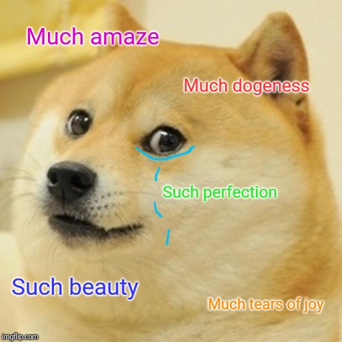 Doge Meme | Much amaze Much dogeness Such perfection Such beauty Much tears of joy | image tagged in memes,doge | made w/ Imgflip meme maker