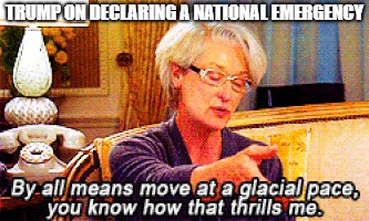 Trump on declaring a national emergency | TRUMP ON DECLARING A NATIONAL EMERGENCY | image tagged in politics,trump,national emergency,devil wears prada,glacial pace | made w/ Imgflip meme maker