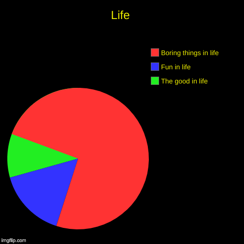 Life | The good in life, Fun in life, Boring things in life | image tagged in funny,pie charts | made w/ Imgflip chart maker