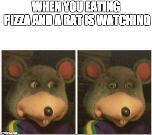 chuck e cheese rat stare | WHEN YOU EATING PIZZA AND A RAT IS WATCHING | image tagged in chuck e cheese rat stare | made w/ Imgflip meme maker