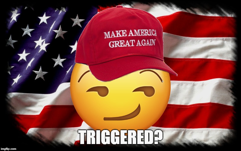 MAGA  | TRIGGERED? | image tagged in maga,trump,memes,sjw,maga hat | made w/ Imgflip meme maker