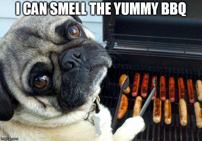 Pug BBQ | I CAN SMELL THE YUMMY BBQ | image tagged in pug bbq | made w/ Imgflip meme maker