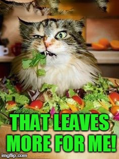 salad-cat | THAT LEAVES MORE FOR ME! | image tagged in salad-cat | made w/ Imgflip meme maker