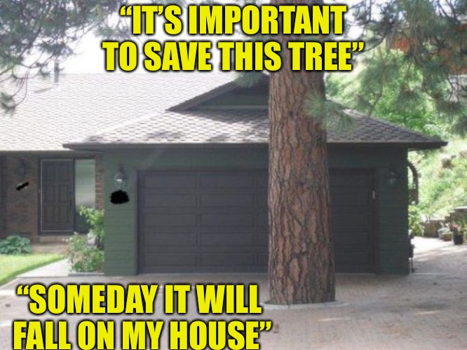 Common Problems  | “IT’S IMPORTANT TO SAVE THIS TREE”; “SOMEDAY IT WILL FALL ON MY HOUSE” | image tagged in obama lovers,first world problems,democrats,tree,tree hugger | made w/ Imgflip meme maker