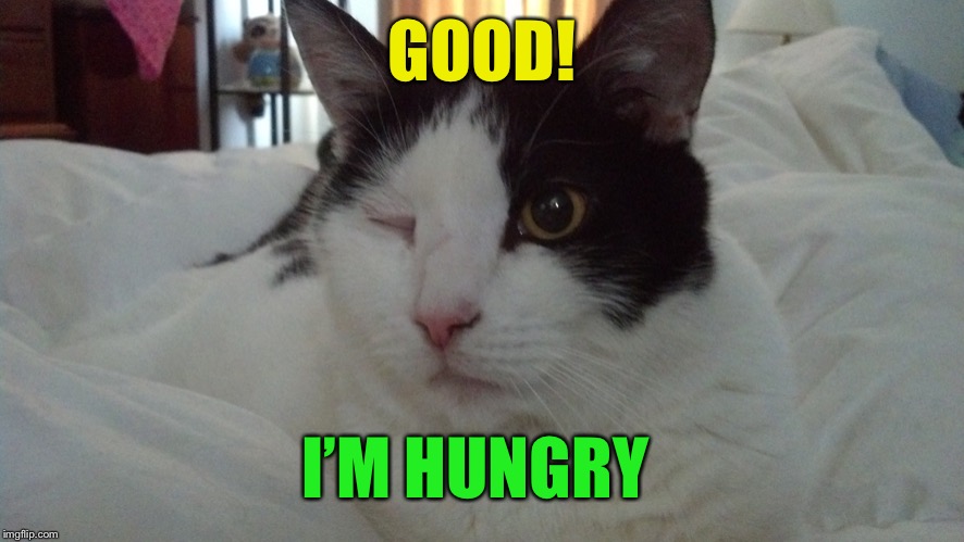 GOOD! I’M HUNGRY | made w/ Imgflip meme maker