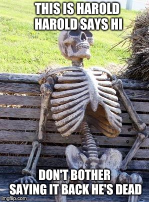 Waiting Skeleton | THIS IS HAROLD HAROLD SAYS HI; DON'T BOTHER SAYING IT BACK HE'S DEAD | image tagged in memes,waiting skeleton | made w/ Imgflip meme maker