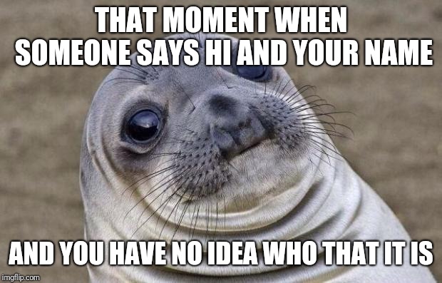 This ever happen to you? | THAT MOMENT WHEN SOMEONE SAYS HI AND YOUR NAME; AND YOU HAVE NO IDEA WHO THAT IT IS | image tagged in memes,awkward moment sealion | made w/ Imgflip meme maker