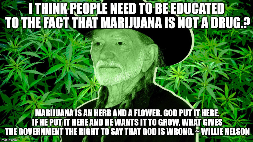 Willyweed | I THINK PEOPLE NEED TO BE EDUCATED TO THE FACT THAT MARIJUANA IS NOT A DRUG.? MARIJUANA IS AN HERB AND A FLOWER. GOD PUT IT HERE. IF HE PUT IT HERE AND HE WANTS IT TO GROW, WHAT GIVES THE GOVERNMENT THE RIGHT TO SAY THAT GOD IS WRONG. ~ WILLIE NELSON | image tagged in willyweed | made w/ Imgflip meme maker