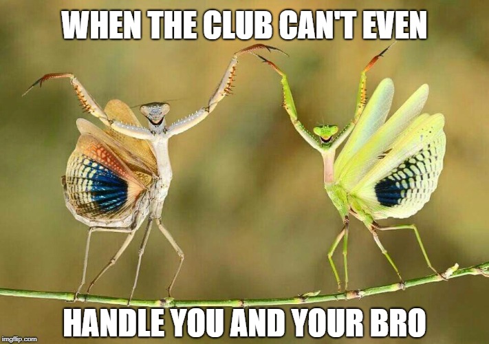WHEN THE CLUB CAN'T EVEN; HANDLE YOU AND YOUR BRO | image tagged in dancing mantis | made w/ Imgflip meme maker