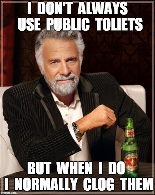 The Most Interesting Man In The World | I  DON'T  ALWAYS  USE  PUBLIC  TOLIETS; BUT  WHEN  I  DO  I  NORMALLY  CLOG  THEM | image tagged in memes,the most interesting man in the world | made w/ Imgflip meme maker