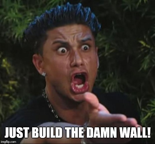 DJ Pauly D Meme |  JUST BUILD THE DAMN WALL! | image tagged in memes,dj pauly d | made w/ Imgflip meme maker