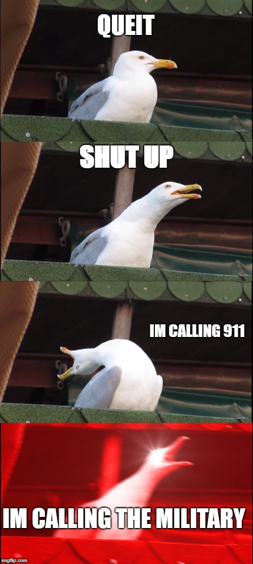 Inhaling Seagull | QUEIT; SHUT UP; IM CALLING 911; IM CALLING THE MILITARY | image tagged in memes,inhaling seagull | made w/ Imgflip meme maker