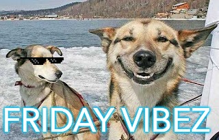 Original Stoner Dog | FRIDAY VIBEZ | image tagged in memes,original stoner dog | made w/ Imgflip meme maker